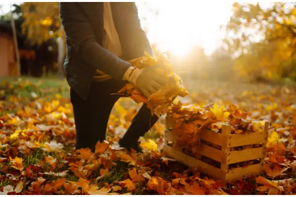 Why October is the Most Critical Month for Your Canadian Tax Strategy